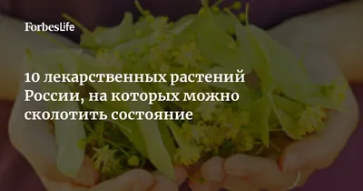 К.В.Доброхотов-Лекарственные растения Казахстана - флипбук страница 1-50 |  PubHTML5