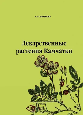 Почта России доставит лекарственные травы с Алтая и Дальнего Востока |  Первый ярославский телеканал