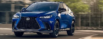 2024 Lexus TX Drive Review and Galleries