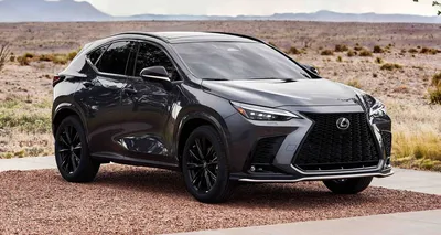 What's New on 2022 Lexus SUVs: UX, NX, RX, and More