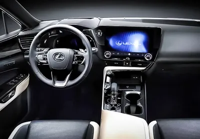 Lexus NX подготовил антикризисную версию Black Vision — ДРАЙВ