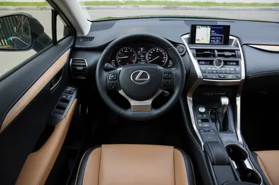 Новый Lexus NX 2021: обзор, салон, характеристики :: Autonews