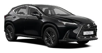 Lexus NX 200 Кожаный салон