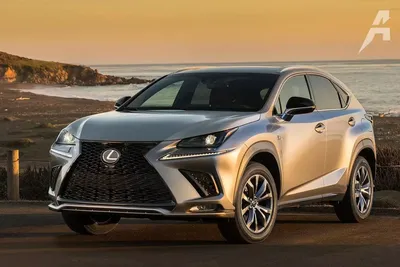 Забота о ближнем. Тест-драйв Lexus NX :: Autonews