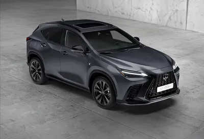 Кроссовер Lexus NX получил обновление к 2024 году