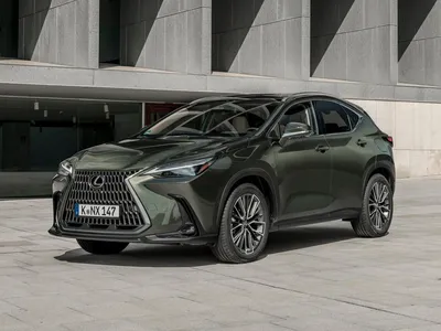 Lexus NX(Лексус Н ИКС 200) 2019 купить в Москве, комплектации, цены, фото,  новая модель | Major Auto - официальный дилер Lexus в Москве