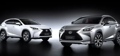 Тест-драйв: Lexus NX 200 Black Vision