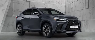 Новый Lexus NX 2021: обзор, салон, характеристики :: Autonews