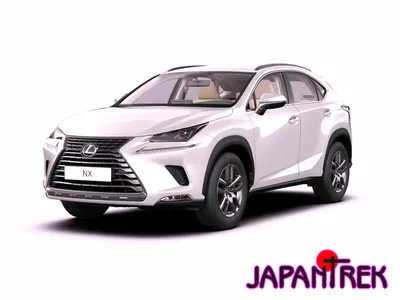 Lexus NX (Лексус Н ИКС 300 АВД) 2019 купить в Москве, комплектации, цены,  фото, новая модель | Major Auto - официальный дилер Lexus в Москве