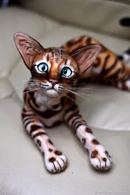 Картинка с леопардовой кошкой в хорошем качестве
