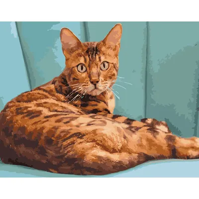 Изображение леопарда-кошки с глубокими глазами