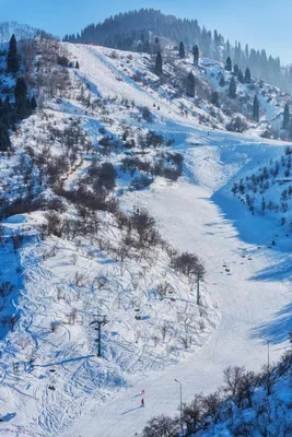 Лесная сказка алматы фото зимой