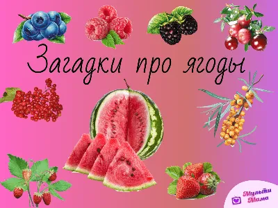 Раскраска ягоды раскраски. ягоды, лес, лесные, вкусные, раскраска, для детей