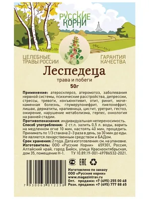 Леспедеца двуцветная. Купить леспедецу двуцветную: саженцы, семена /  Женьшень