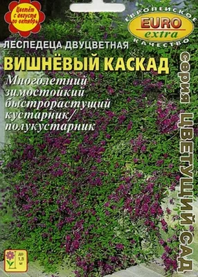 Леспедеца трава и побеги для иммунитета 50 г Русские корни 17657438 купить  за 297 ₽ в интернет-магазине Wildberries