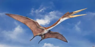 10 видов летающих динозавров | Динозаврикус | Дзен