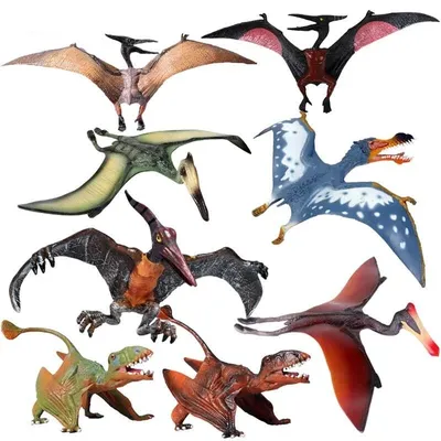 Моделирование динозавров, биология, образовательная модель птерозавра, ПВХ  экшн-фигурки, летающий дракон, детская игрушка | AliExpress
