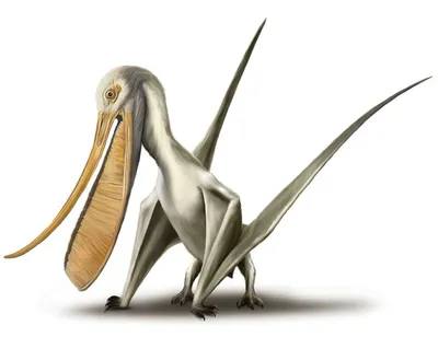 10 видов летающих динозавров | Динозаврикус | Дзен