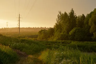 Купить набор для вышивки бисером \"Летний дождь\" | Интернет-магазин Золотые  Ручки