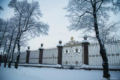 Летний сад города Санкт-Петербурга | Сады Русского Музея