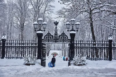 Зимние парки Санкт-Петербурга