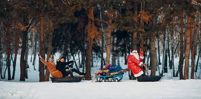 Летний сад зимой