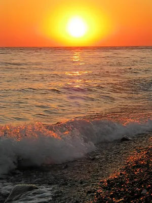 Вспомнилось... лето, море, солнце...: aksanova — LiveJournal