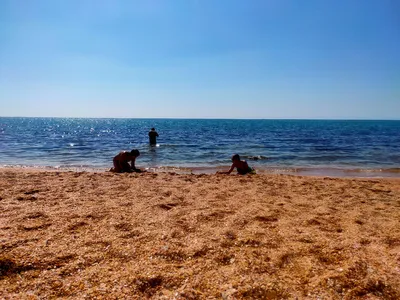 Лето, море, пляж. Дни нашей жизни:) | Девушка в зелёном саду🍎 Крым❤️ | Дзен