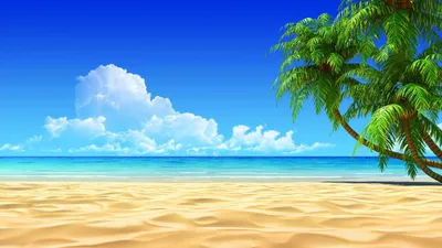 Лето, море, пляж. Дни нашей жизни:) | Девушка в зелёном саду🍎 Крым❤️ | Дзен