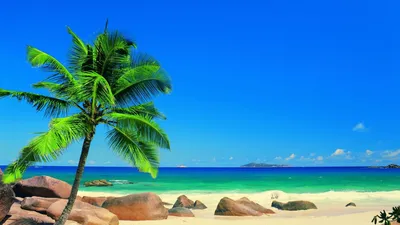Лето, море, облака: что нужно знать об отдыхе на пляже? - Turist