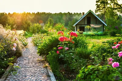 Лето на даче: 15 маленьких дачных домиков – Фотоподборки