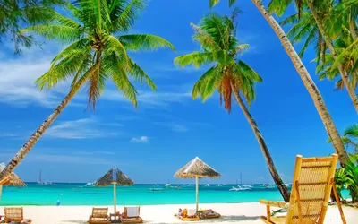 Скачать обои песок, море, пляж, лето, солнце, пальмы, отдых, summer, раздел  природа в разрешении 6690x3380