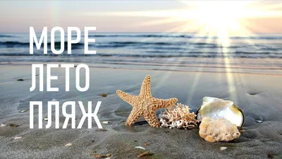 картинки : море, закат солнца, лето, пейзаж, Расслабление, пляж, зонтик,  небо, горизонт, воды, Послесвечение, утро, Атмосферное явление,  Спокойствие, Восход, смеркаться, вечер, дерево, берег, облако, Ветровая  волна, отпуск, солнце, рассвет, Размышления ...