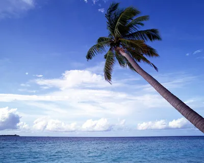 Лето, солнце, море, пляж, племянники🏖  ––––––––––––––––––––––––––––––––––––––– #лето #солнце #море #пляж #песок  #пеннаявечеринка… | Instagram