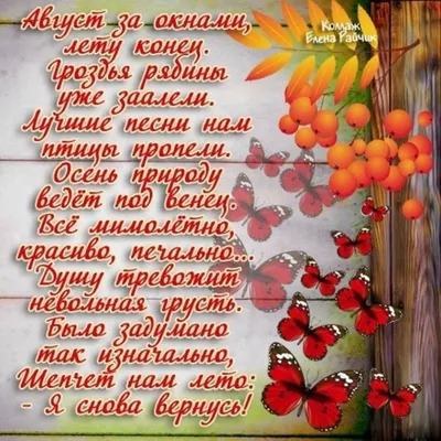 Лето не уходи: как оренбуржцы провели первую половину августа? ::  Урал56.Ру. Новости Орска, Оренбурга и Оренбургской области.