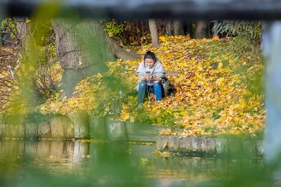 А лето уходит в далёкий неведомый край... / фото