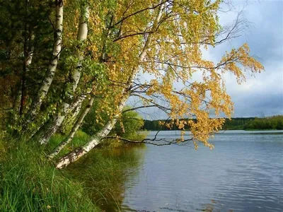 Уходит не лето, а дни нашей жизни, а лето еще вернется, снова через год🤗💯  | Instagram