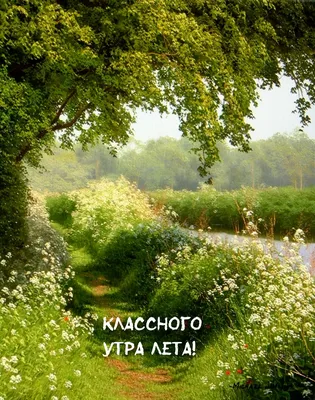 Просто летнее утро.... Photographer Meshcheryakov Gennadiy