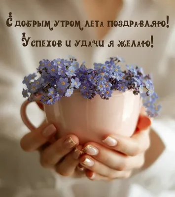 Летнее утро в лесу. — Фото №304017