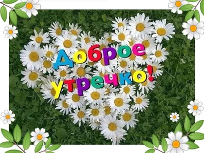 Летнее Утро доброе! 🍃🌼🌿 | Good morning, Novelty christmas, Christmas  ornaments