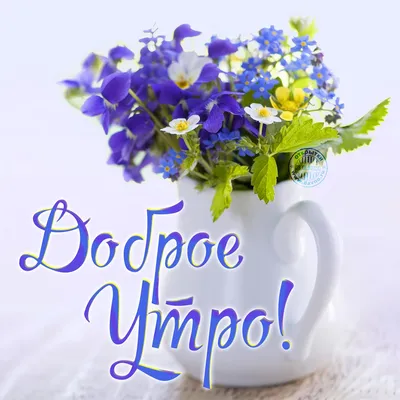 Летнее утро) :: Альбина – Социальная сеть ФотоКто