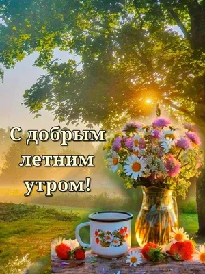 Летнее утро (Карина Лек) / Стихи.ру