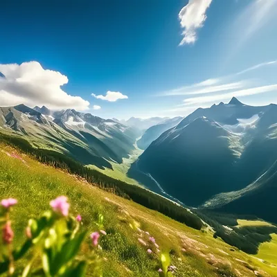 Лето в горах Киргизии.