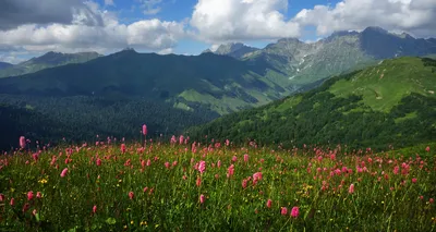 Как подготовиться к летнему отдыху в горах? Les Montagnettes