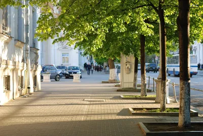 лето #природа #жизнь #июнь #июль #красота #май #весна #город #зелень  #настольгия #атмосфера #эстетика #инстаграм #summer #nature #life #… | Лето,  Эстетика, Природа
