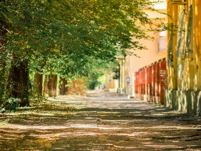летний вечер в городе. Photographer Igor Dubrovskiy