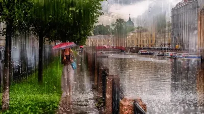 Яндекс Карты» запустили новый проект «Лето в городе» | Sobaka.ru