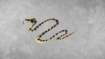 Впечатляющие фото летучей змеи