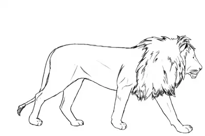 Черно-белый стилизованный рисунок головы льва Stock Vector | Adobe Stock