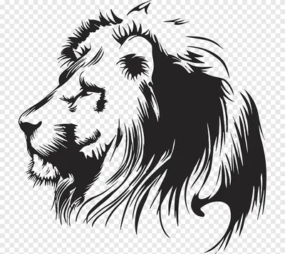 Обои лев, рисунок, красочный, король, царь зверей картинки на рабочий стол,  фото скачать бесплатно